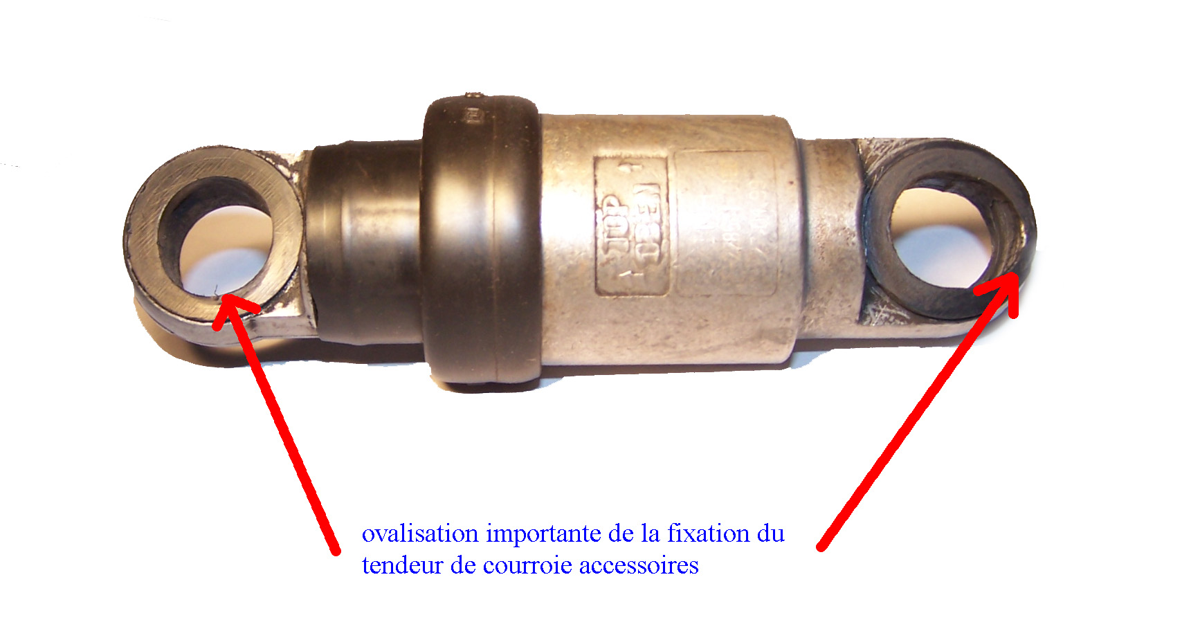 100_0456%20copie.jpg